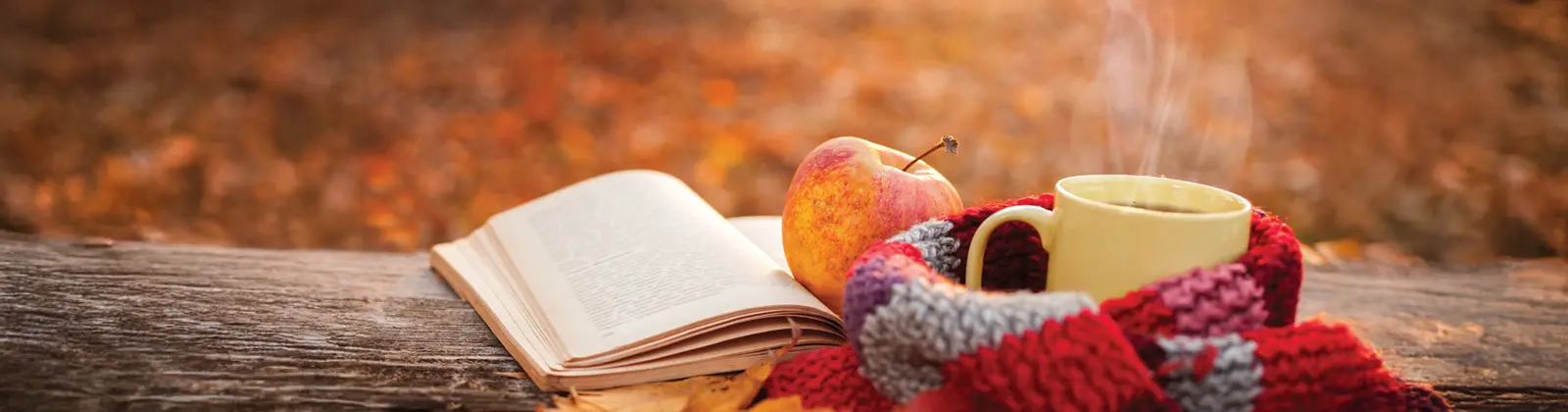 Fall issue banner image