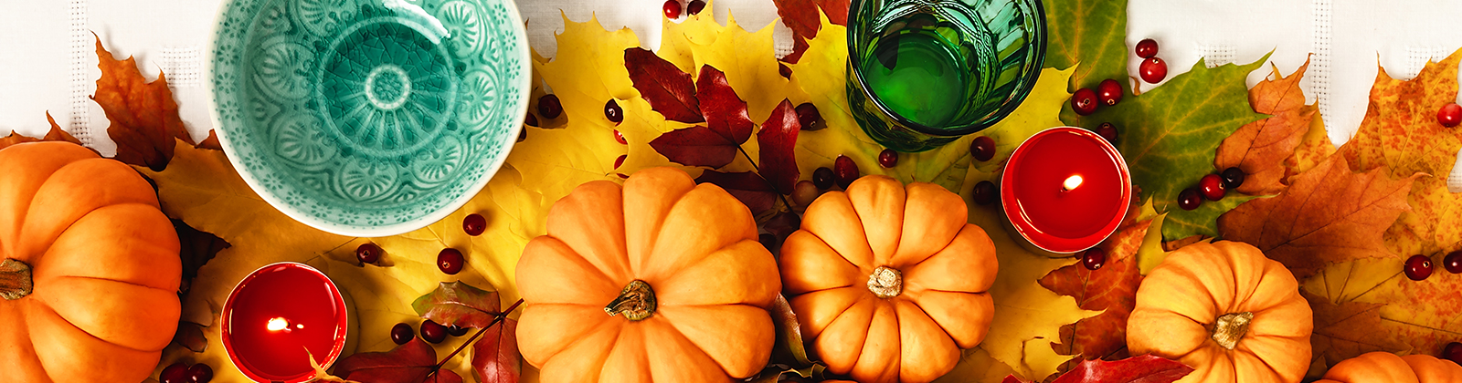 Fall Buzz Book header image